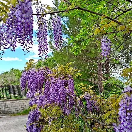 Летний дом Ai Limiti • 67 • Stonehouse