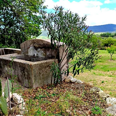 Ai Limiti • 67 • Stonehouse Landsted