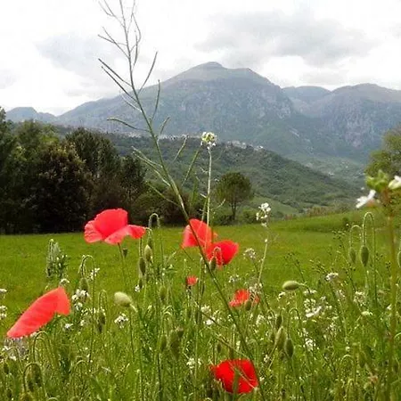 Ai Limiti • 67 • Stonehouse Landsted *