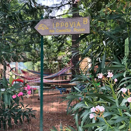 Ai Limiti • 67 • Stonehouse Landsted Palombaro