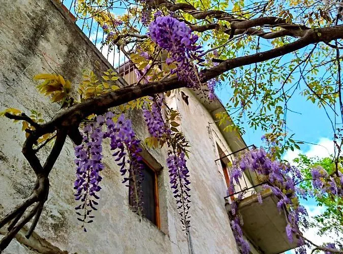 Ai Limiti • 67 • Stonehouse Летний дом